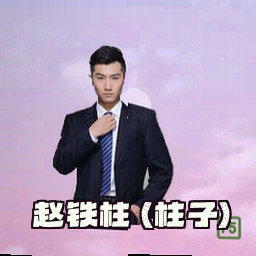 赵铁柱 (柱子)